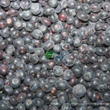 Blueberries IQF de 100% com padrão do FDA